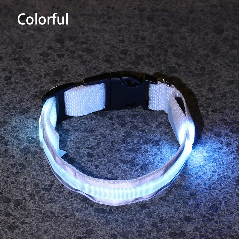Reflective Dog Collar