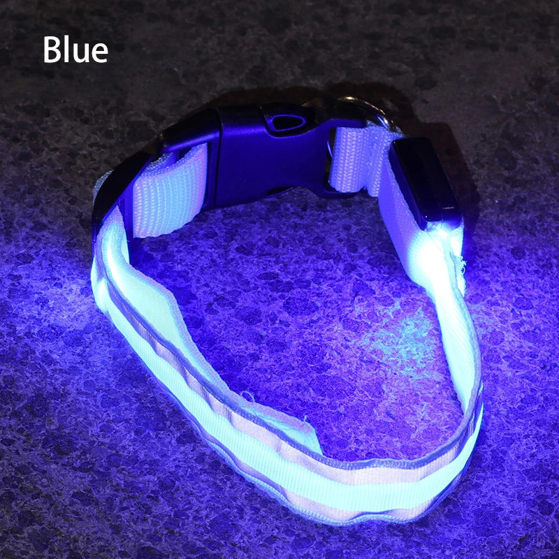 Reflective Dog Collar