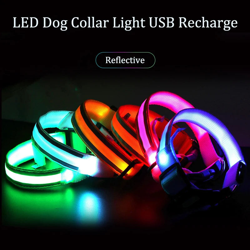 Reflective Dog Collar