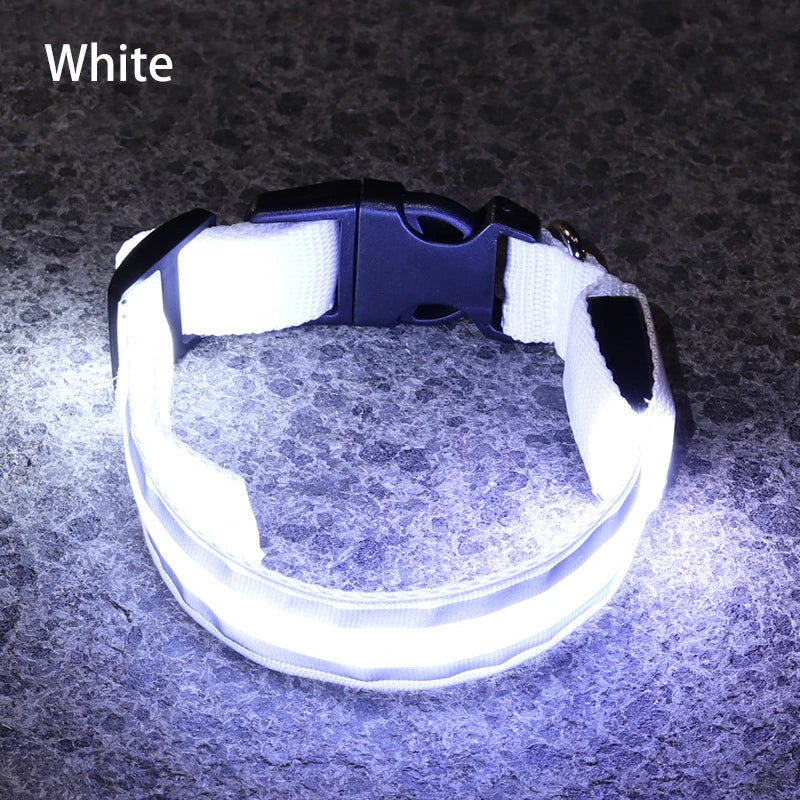 Reflective Dog Collar
