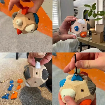 Strength Exercise Climbing Ball