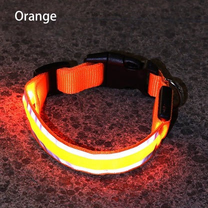 Reflective Dog Collar