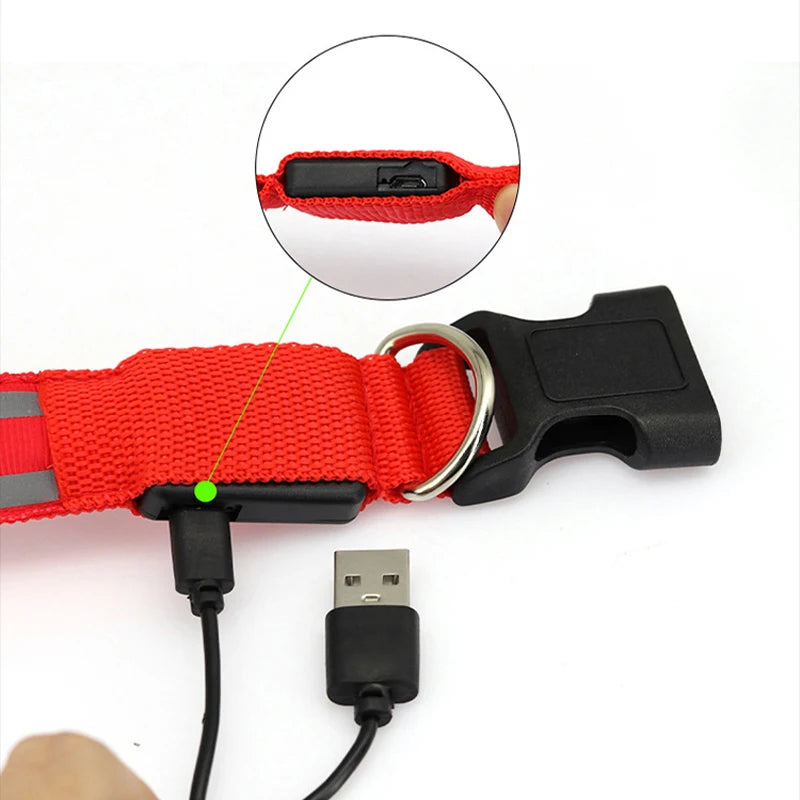 Reflective Dog Collar